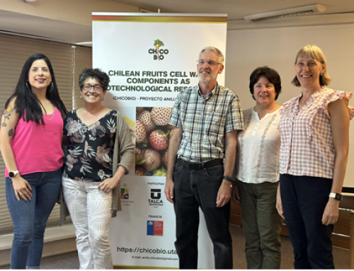 Destacados investigadores internacionales participaron en Workshop de pared celular