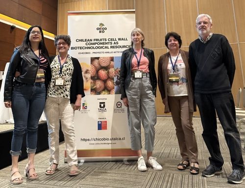 Destacada participación de Investigadores del proyecto Anillo en la XV Reunión Anual de la Sociedad de Biología Vegetal de Chile
